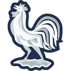 France National Team